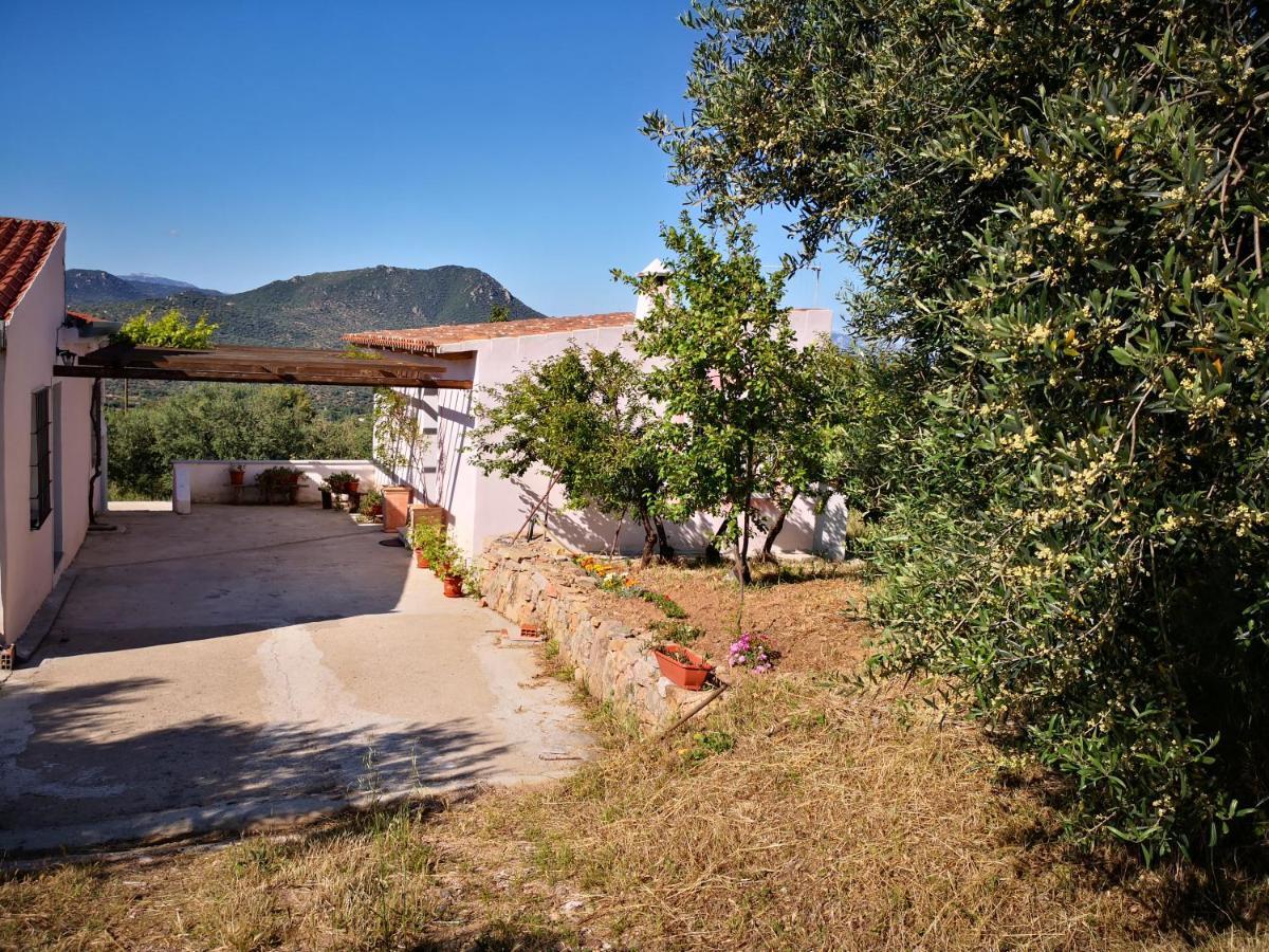 Villa Sa Pruna Oliena Exterior photo