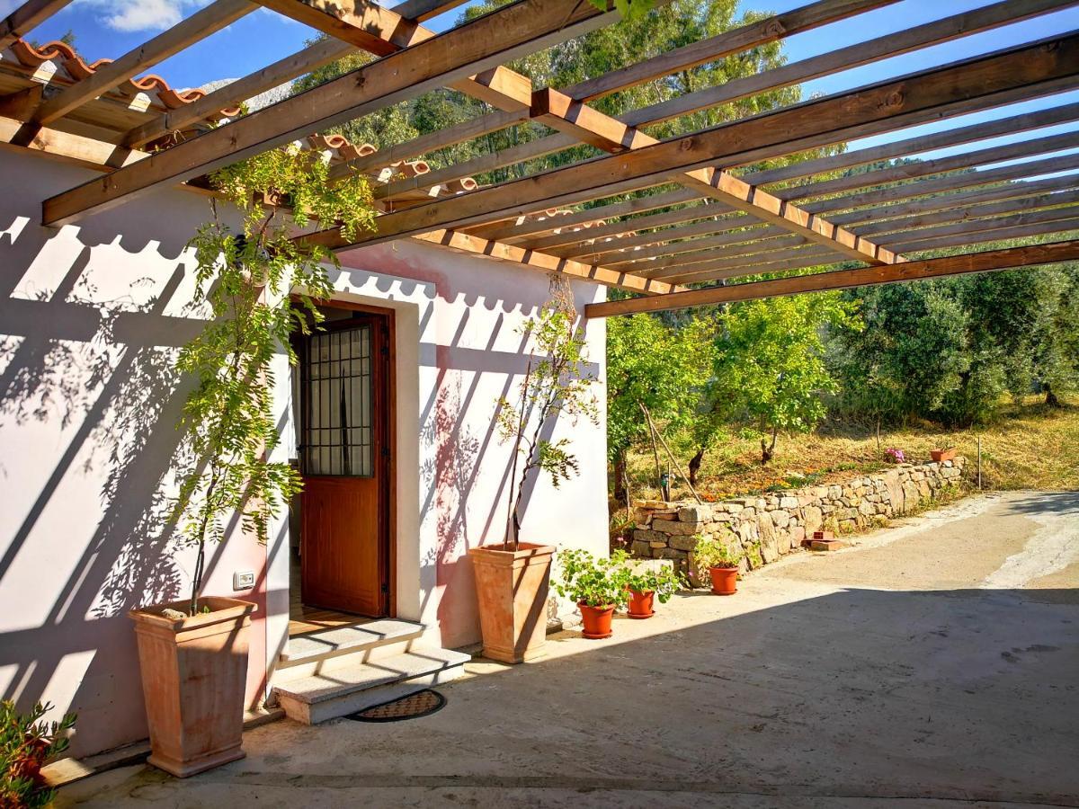 Villa Sa Pruna Oliena Exterior photo