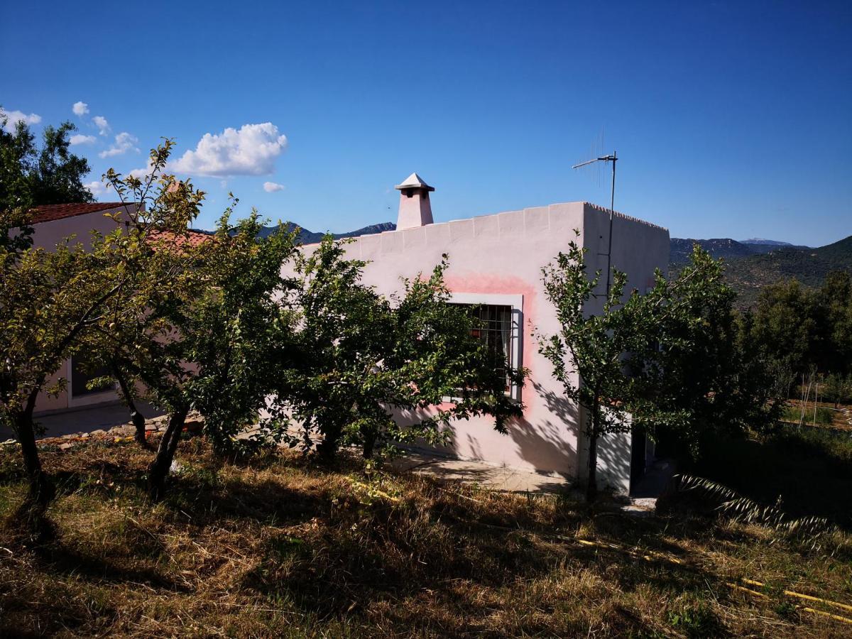 Villa Sa Pruna Oliena Exterior photo
